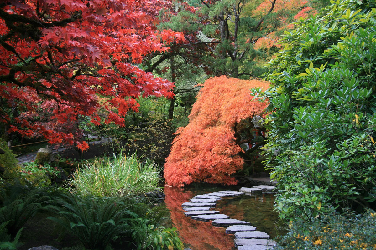 Innerer Frieden japanischer GArten